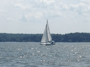A sailboat on the Chesepeek