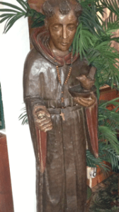 Cappuciner monk in St. Augustine