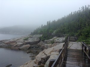 A beautiful trail‏