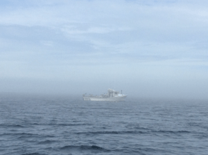 Boat wrapped in fog‏