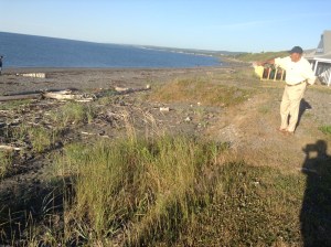 Debrie from the river‏