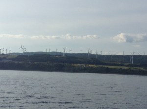 Field of windmills‏