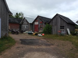 Georgetown lobster shacks‏