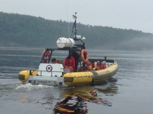 Glacier rock & sturdy trees