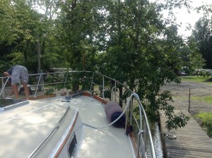 In the bushes for the night‏