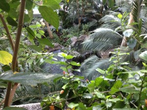 Inside the atrium‏