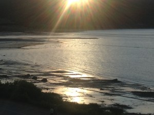 Low tide in the fjord