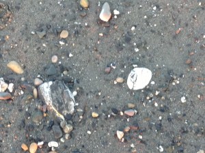 Minerals in rocks‏