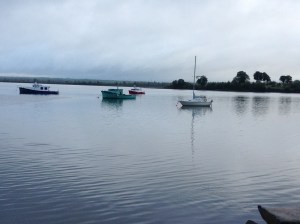 Pictou boats at rest‏