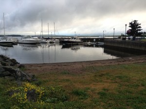 Pictou & Contessa‏