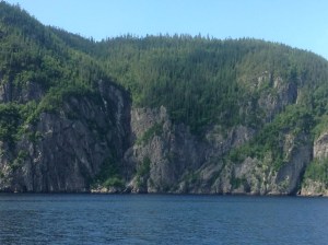 Rocks & trees in the fjord‏