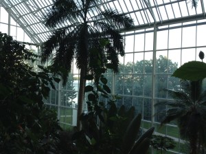 The atrium