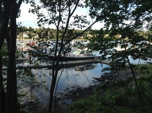 Contessa at her new home‏