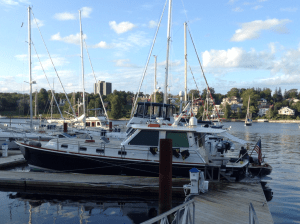 Contessa's new resting dock‏