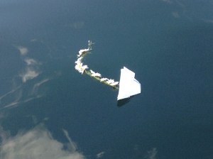 Happy Birthday mama‏