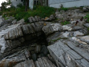 Main- Demariscotta, Bristol to Portland 073