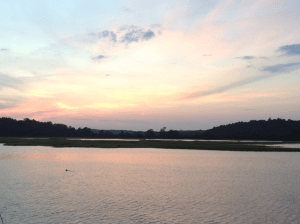 Swamp of St Ann at sunset‏