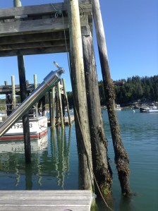 Tide ikndicator on pilings - Billings marine