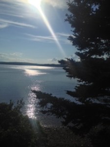 Tom's revelation of St. Peter's Bay