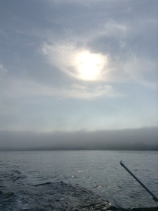 Hazy sun in Newport‏