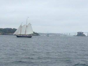 Schooner in Newport harbor‏