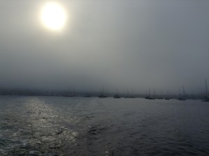 Sun s trying to break through‏