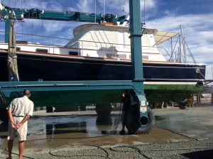 Contessa coming out of the water‏
