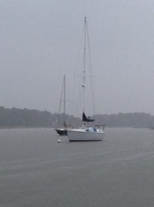 Haven Harbor Marina‏