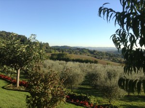 Olive Garden at Le Vigne‏