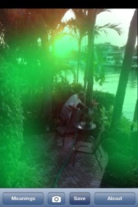 Joe and my ferrie garden